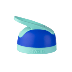 smooshed-blueberry