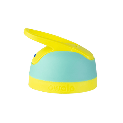 Replacement Lids