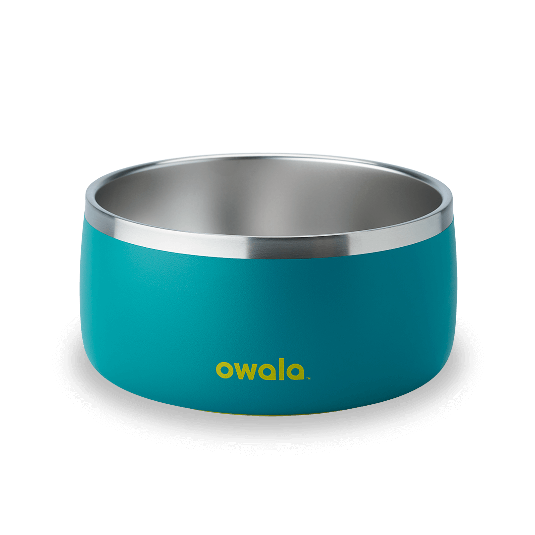 Pet Bowl Turquoise & Caicos