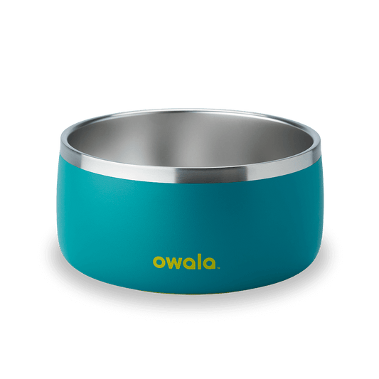 Pet Bowl Turquoise & Caicos